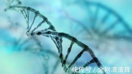 滅絕計(jì)劃還是生物革命？美國釋放10億基因改造蚊子的全球影響