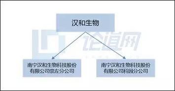 漢和生物 以生物技術(shù)創(chuàng)新驅(qū)動水溶肥料市場新藍海